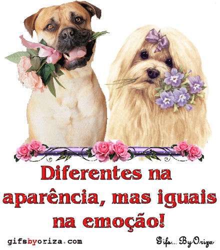 gifs-by-oriza-diferentes.gif